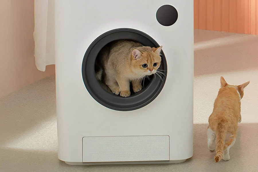 cat litter pan